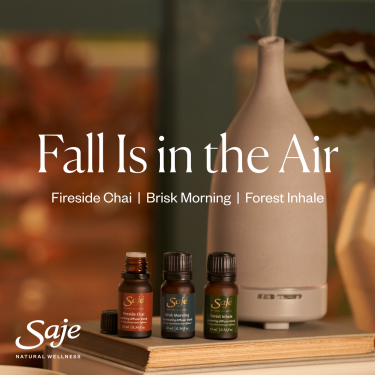 Fall Is in the Air icon